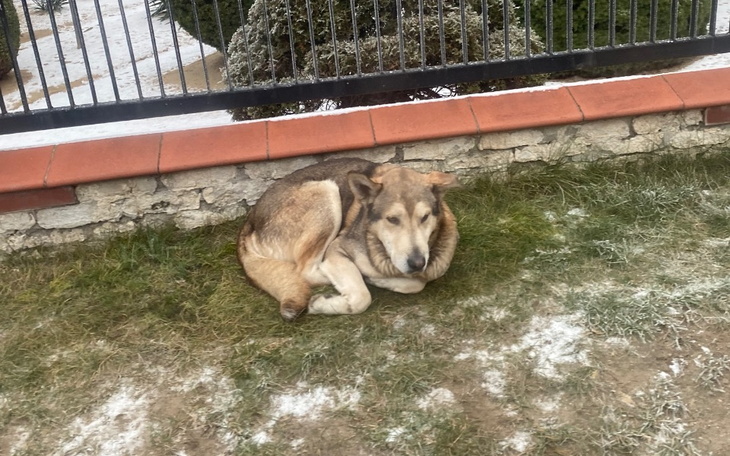 Zbiórka Ares. - zdjęcie główne