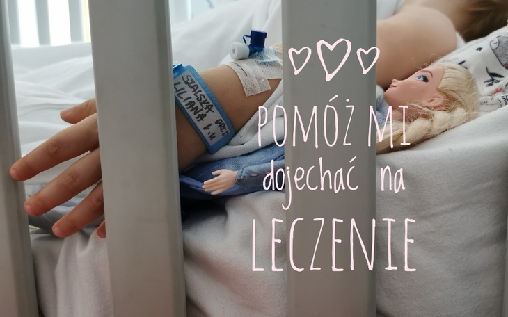 Zbiórka Lilia musi dojechać na leczenie - zdjęcie główne