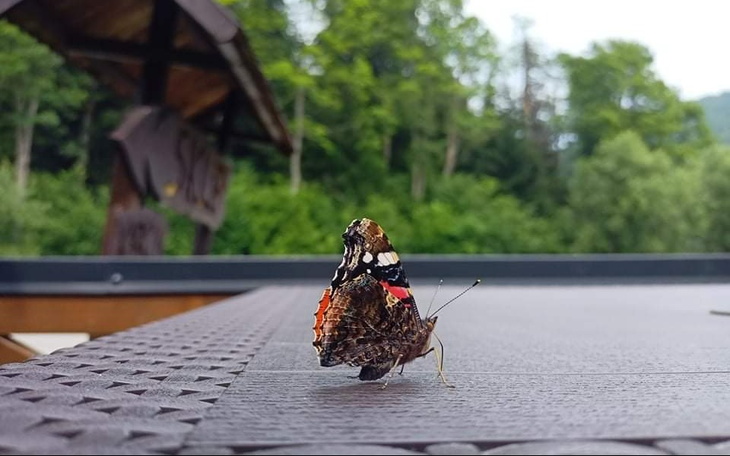 Zbiórka Kompiuter stacjonarny - zdjęcie główne