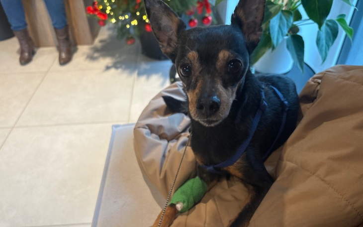 Zbiórka Nie strzelam, nie krzywdzę - zdjęcie główne