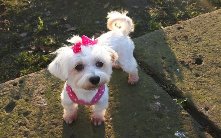 Zbiórka Darowizna dla Kiary. - zdjęcie główne