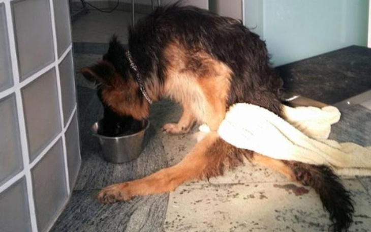 Zbiórka Czy kiedyś jeszcze wstanę??? - zdjęcie główne