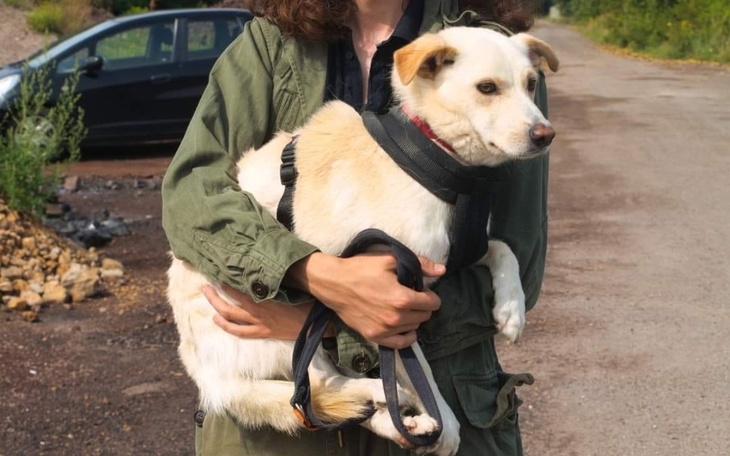 Zbiórka Pomoc w znalezieniu Migdałka - zdjęcie główne