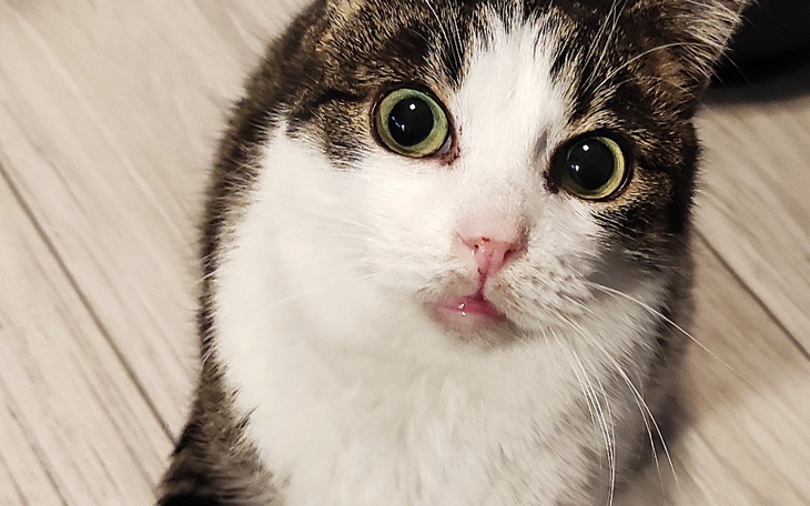 Zbiórka KSB Dług grudzień 2020 - zdjęcie główne