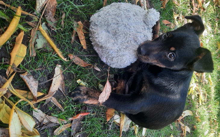 Zbiórka Pokoje dla dzieci-dobudówka - zdjęcie główne