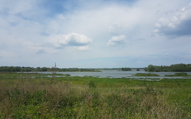 Zbiórka Pomoc w wróceniu do życia - zdjęcie główne