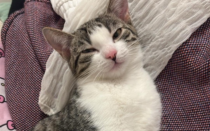 Zbiórka Na dalsze leczenie Kluski - zdjęcie główne