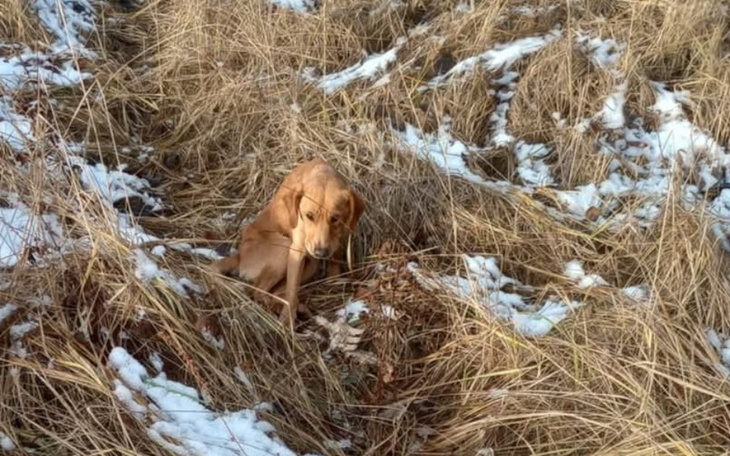Zbiórka Zmieńmy jego świat - zdjęcie główne