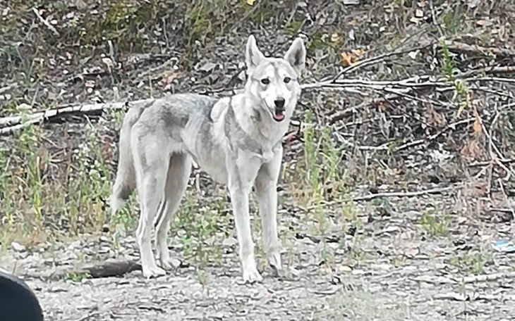 Zbiórka Z wysypiska po lepsze życie - zdjęcie główne