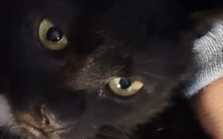 Zbiórka Pomóż Pędzelkowi pomalować świat - zdjęcie główne