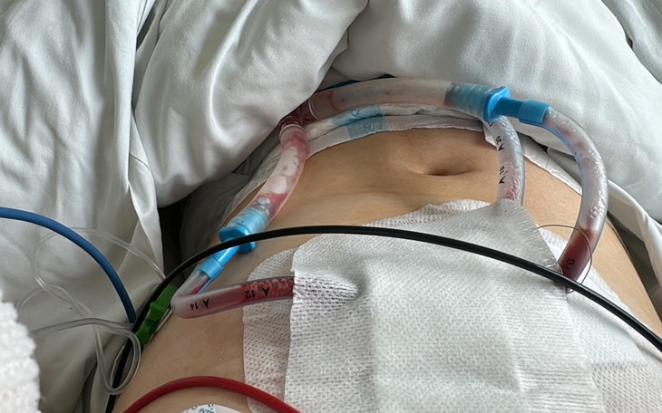 Pies z opatrunkiem, szukający nowego domu.