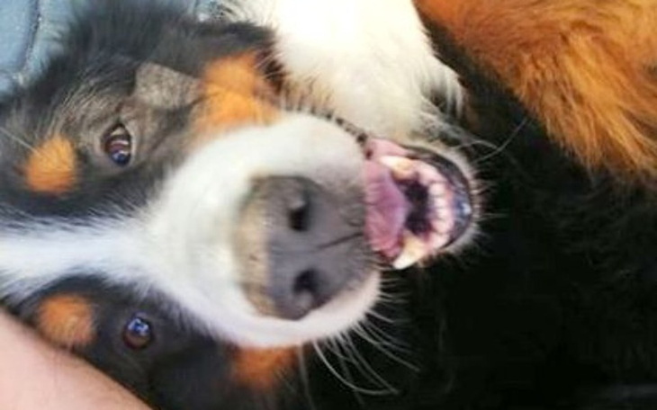 Zbiórka Na wózek dla BORYSA - zdjęcie główne