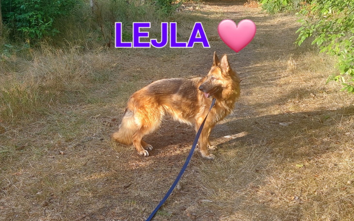 Zbiórka Na rehabilitację dla Lejli - zdjęcie główne