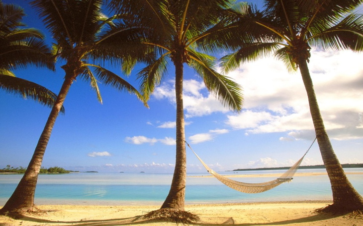 Zbiórka Wymarzone wakacje w tropikach - zdjęcie główne