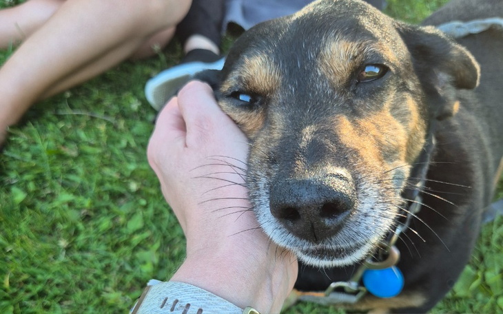 Zbiórka Feliks chciał by jeszcze biegać - zdjęcie główne