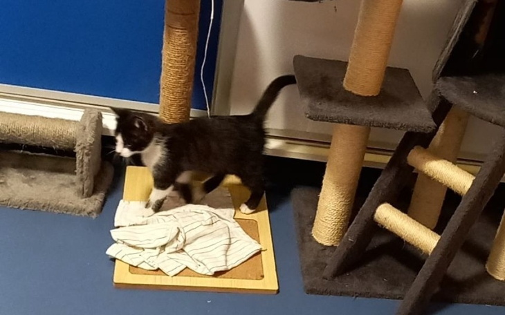 Zbiórka Nie chcemy stracić Naszego domu - zdjęcie główne