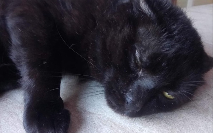 Zbiórka Klarens Mój Bohater - zdjęcie główne