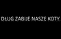 Zbiórka Dług zabije nasze koty - miniaturka zdjęcia