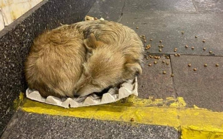 Zbiórka Budy dla zmarznietych duszek - zdjęcie główne