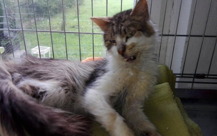 Zbiórka Umierał w cierpieniu - zdjęcie główne