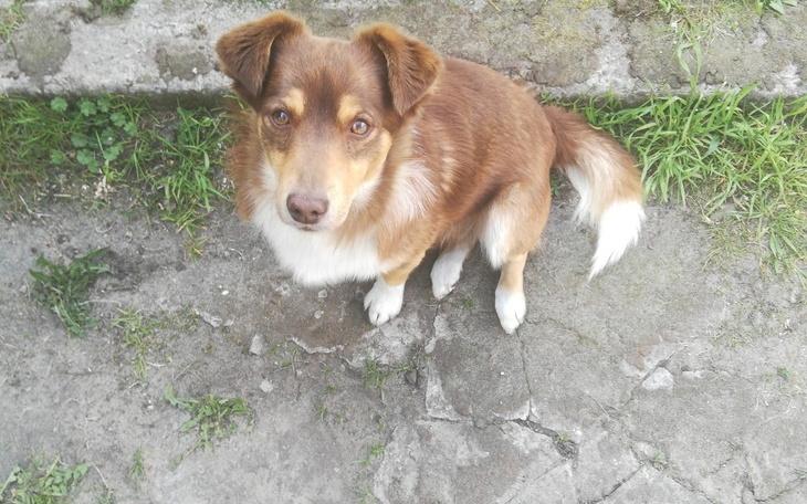 Zbiórka Kupno wymarzonego roweru - zdjęcie główne