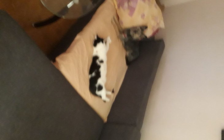 Zbiórka Zbiórka na spłatę zaległego czyn - zdjęcie główne