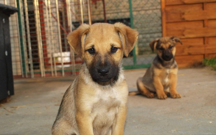 Zbiórka Agregat na zimę - zdjęcie główne