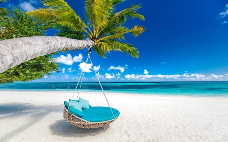 Zbiórka Wymarzone wakacje/Dream Holidays - zdjęcie główne