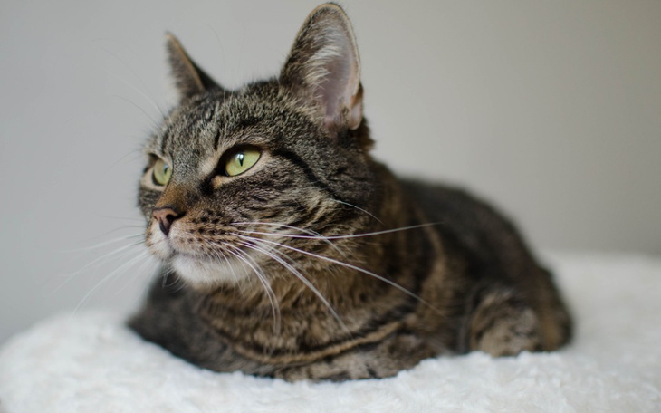 Zbiórka Wakacje w Malinowym Zdroju - zdjęcie główne