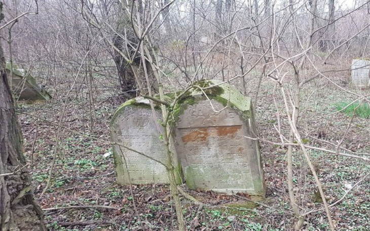 Zbiórka Restore Jewish Cemetery Kanczuga - zdjęcie główne