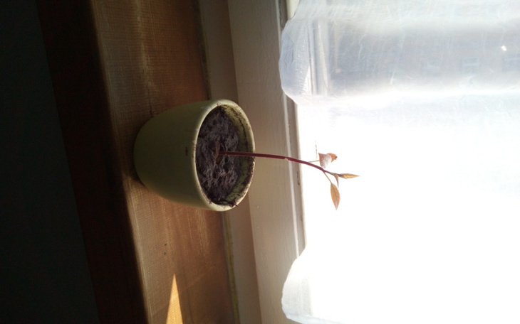 Zbiórka wymiana okien i drobny remont - zdjęcie główne