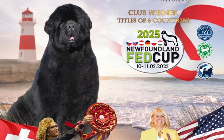 Plakat promujący zawody psów nowofundlandzkich w Europie.