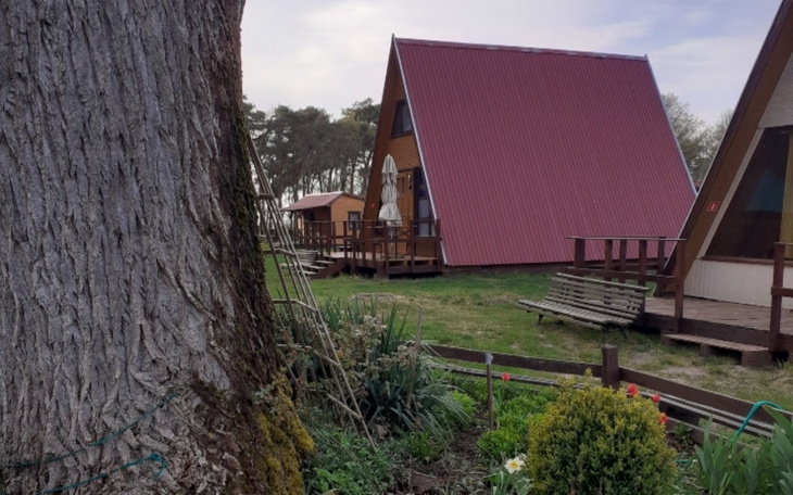 Zbiórka Pomoc osobom z Ukrainy - zdjęcie główne