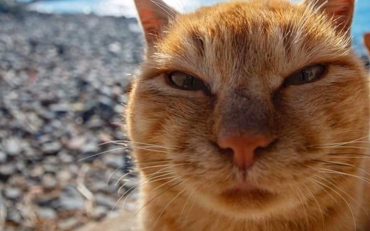 Zbiórka Dla moich kochanych przyjaciół - zdjęcie główne