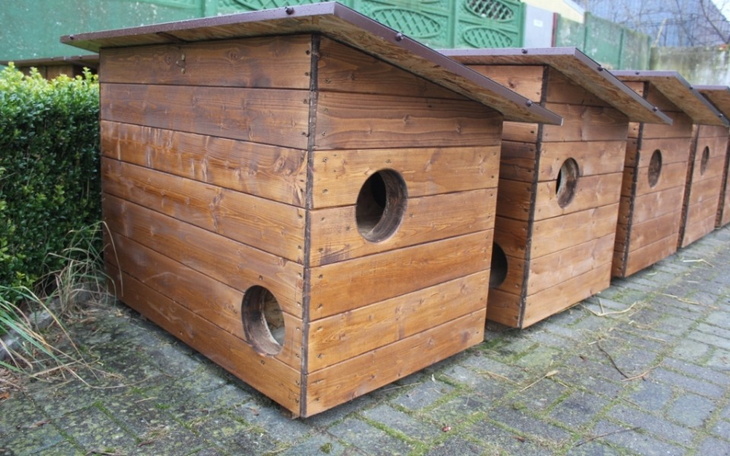 Drewniana budka dla zwierząt, idealna na zewnątrz.