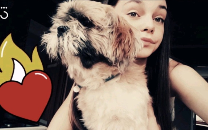 Zbiórka Cynamonek - zdjęcie główne