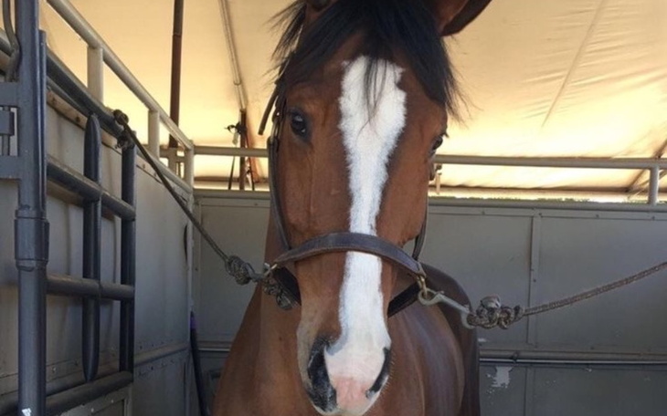 Zbiórka Na swoje wielkie marzenie - zdjęcie główne