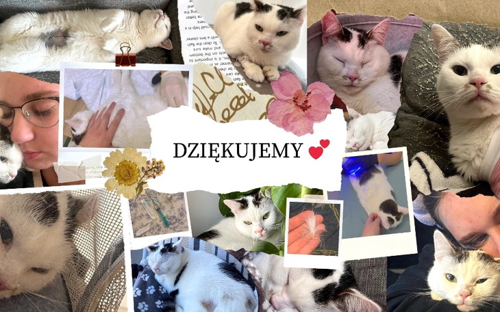 Zbiórka Iskierka też chce żyć - zdjęcie główne