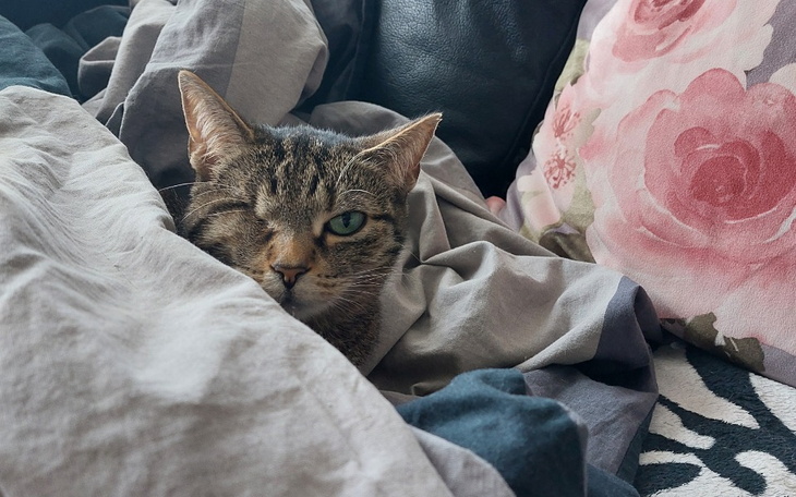 Zbiórka Po prostu na życie... - zdjęcie główne