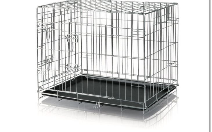 Zbiórka Zbiórka na klatki knnelowe - zdjęcie główne