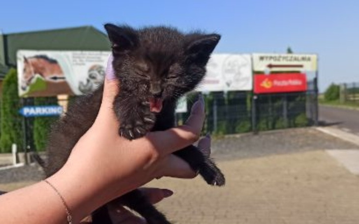 Zbiórka Na 30 dni pobytu w hoteliku - zdjęcie główne