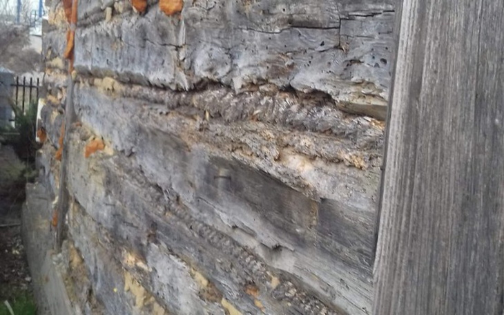 Zbiórka Nowy dach i elewacja - zdjęcie główne