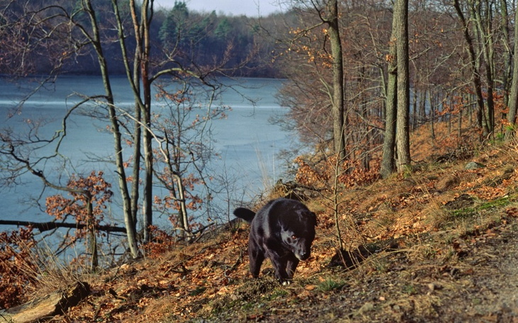 Zbiórka Na lepsze życie którego nie mam - zdjęcie główne
