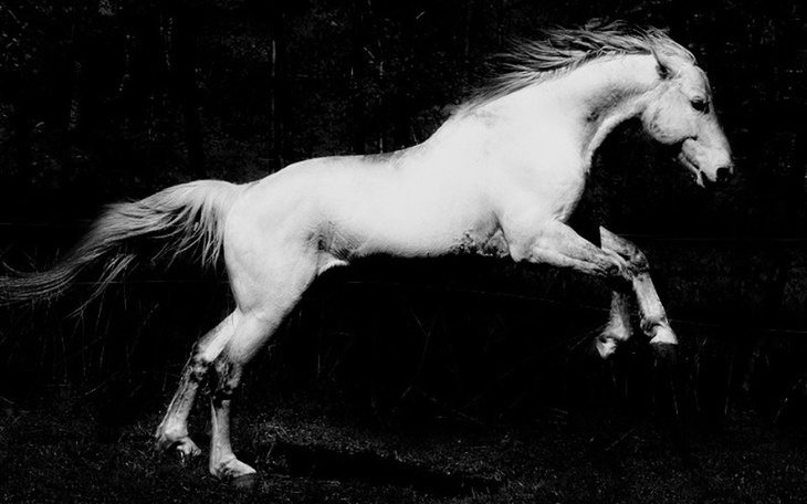 Zbiórka Długa droga do DOMU - zdjęcie główne