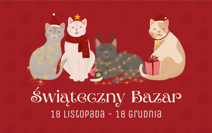 Zbiórka Świąteczny Bazar - zdjęcie główne