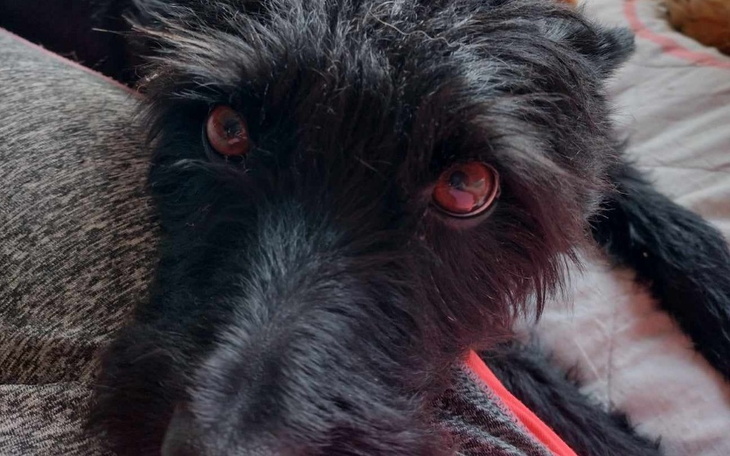 Zbiórka Chłoniak chce nam go zabrać - zdjęcie główne