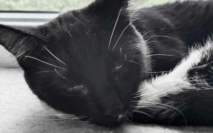 Zbiórka Pomóżcie odmienić życie Theo - zdjęcie główne