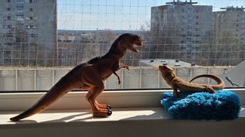 Zbiórka Zwierzęta potrzebują pomocy! - miniaturka zdjęcia