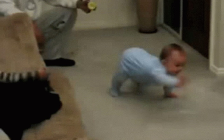 Zbiórka dysk dla escobarka - zdjęcie główne