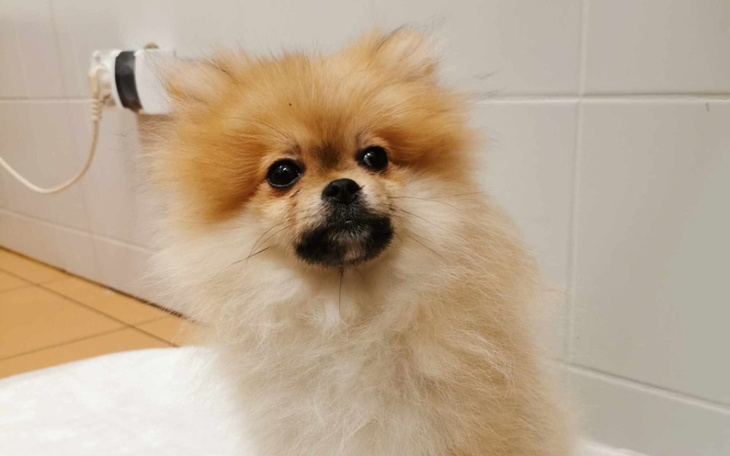 Zbiórka Kupiona za pińcet - zdjęcie główne